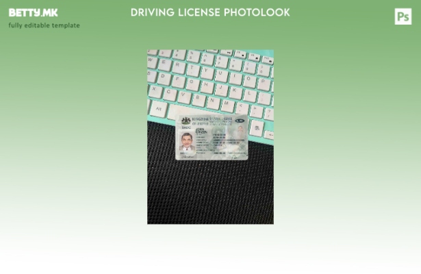 модерен стил Лесото возачка дозвола photolook ПРЕДЕН шаблон